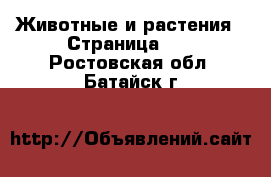  Животные и растения - Страница 17 . Ростовская обл.,Батайск г.